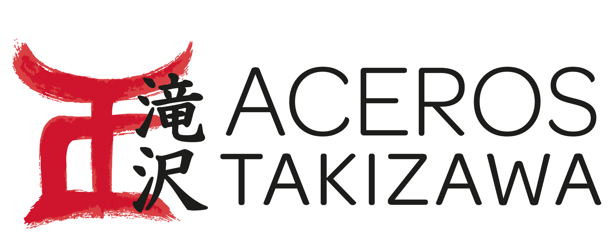 TAKIZAWA LOGOTIPO